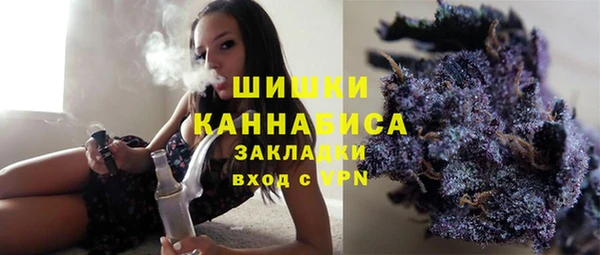 прущие грибы Баксан