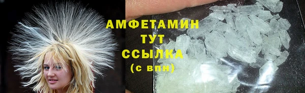 прущие грибы Баксан