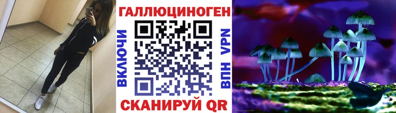 Псилоцибиновые грибы GOLDEN TEACHER  Купить закладки  Олонец 