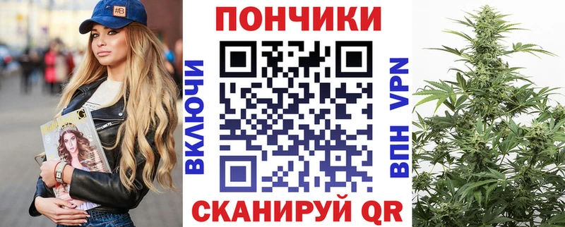 Купить  Олонец  Каннабис планчик 